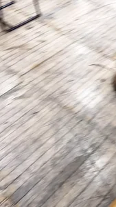 Collection of short candid vids