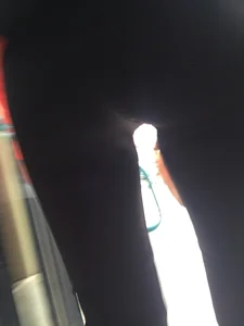 Girl in a Hoodie and Yoga Pants Public Bus and Crosswalk Ass And Crotch Closeup Photos Gallery