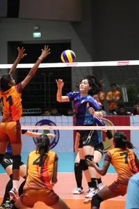 Thai candid volleyball girls
