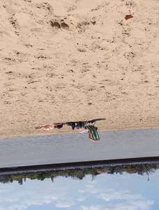 Girl laying out getting sun in a white thong bikini